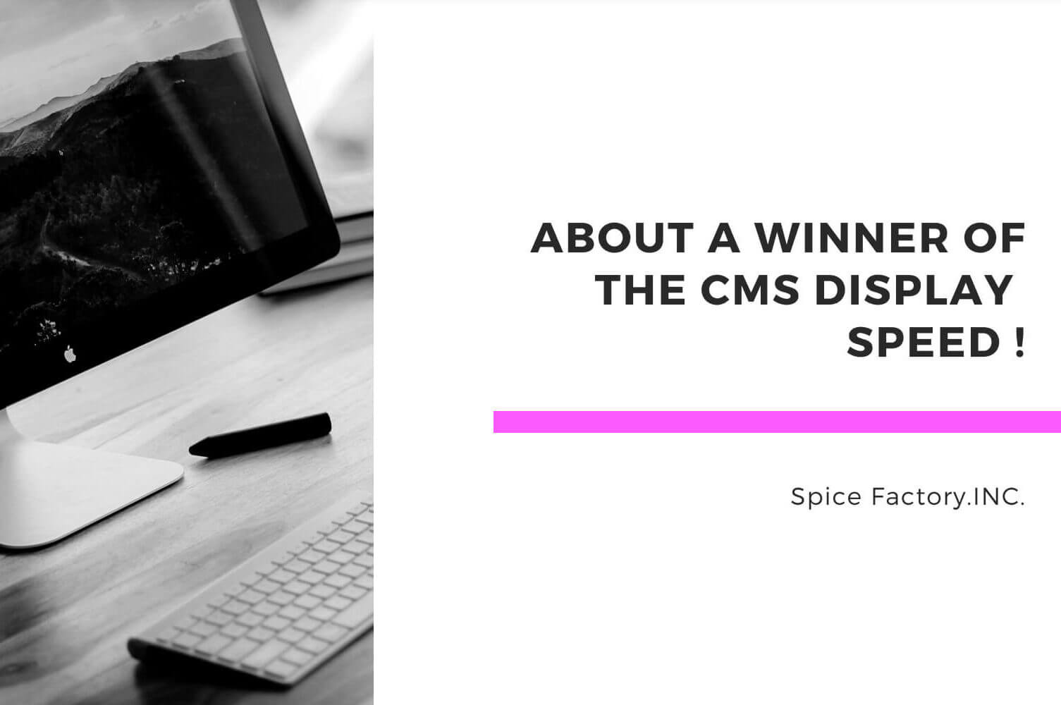 CMSプロレス ウェブサイト表示速度王決定戦にて、スパイスファクトリー泰がWordPressで挑み優勝しました！